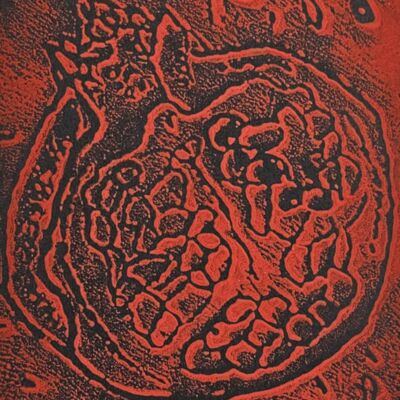 20230604 125827 Thumbnail